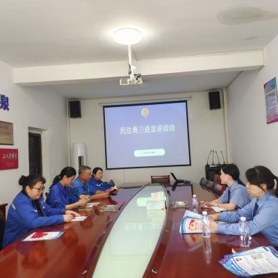 民法典進(jìn)企業(yè) 法治護(hù)航促發(fā)展 --區(qū)人民檢察院開展民法典專題宣講活動